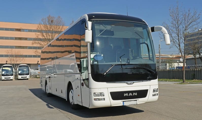 Malta region: Buses operator in Marsaskala (Wied il-Għajn) in Marsaskala (Wied il-Għajn) and Malta